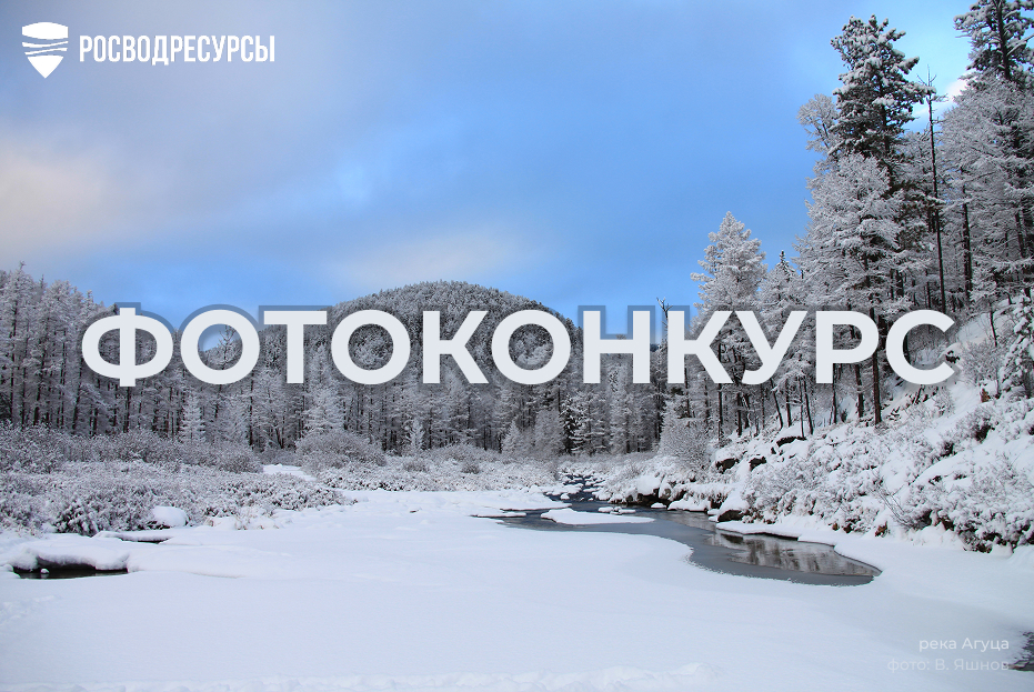 kartochka_fotokonkurs.jpg